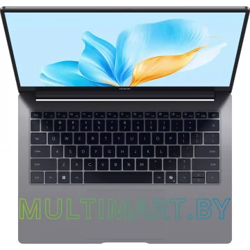 Ноутбук HONOR MagicBook X14 FRG-X (5301ALXL) картинка 5